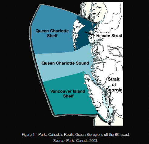 Parks Canada's Pacific Ocean Bioregions off BC Coast Vancouver Marine Facts